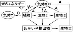 物質界|「物質界」で始まる言葉